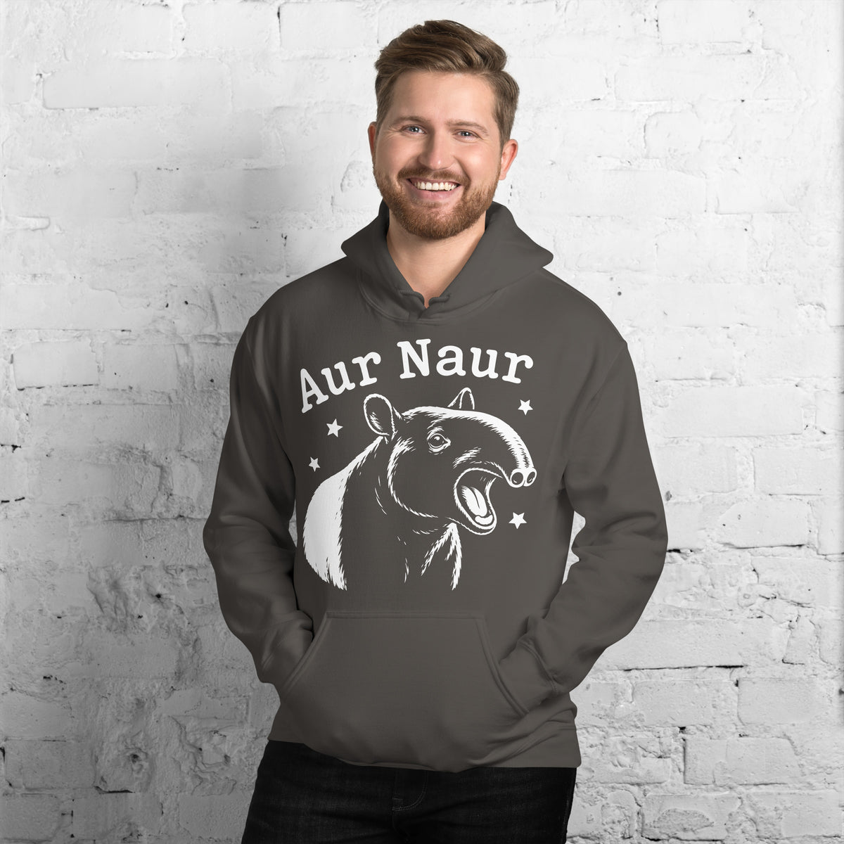 Charcoal pullover hoodie, front view, featuring Aur Naur white tapir portrait, stars and lettering.