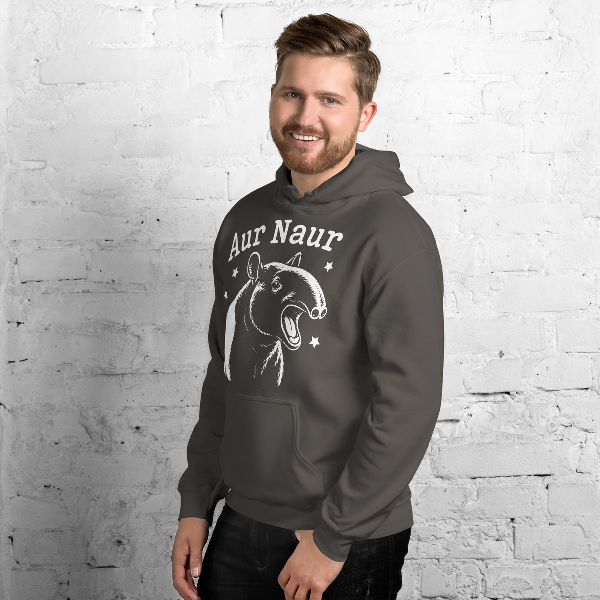 Charcoal pullover hoodie, left-front angled view, featuring Aur Naur white tapir portrait, stars and lettering.