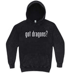  "Got Dragons?" hoodie, 3XL, Vintage Black