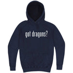  "Got Dragons?" hoodie, 3XL, Vintage Denim