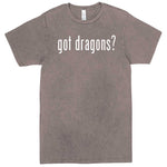  "Got Dragons?" men's t-shirt Vintage Zinc