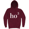  "Ho(3) Ho Ho" hoodie, 3XL, Vintage Brick