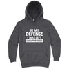  "In My Defense, I Was Left Unsupervised" hoodie, 3XL, Storm