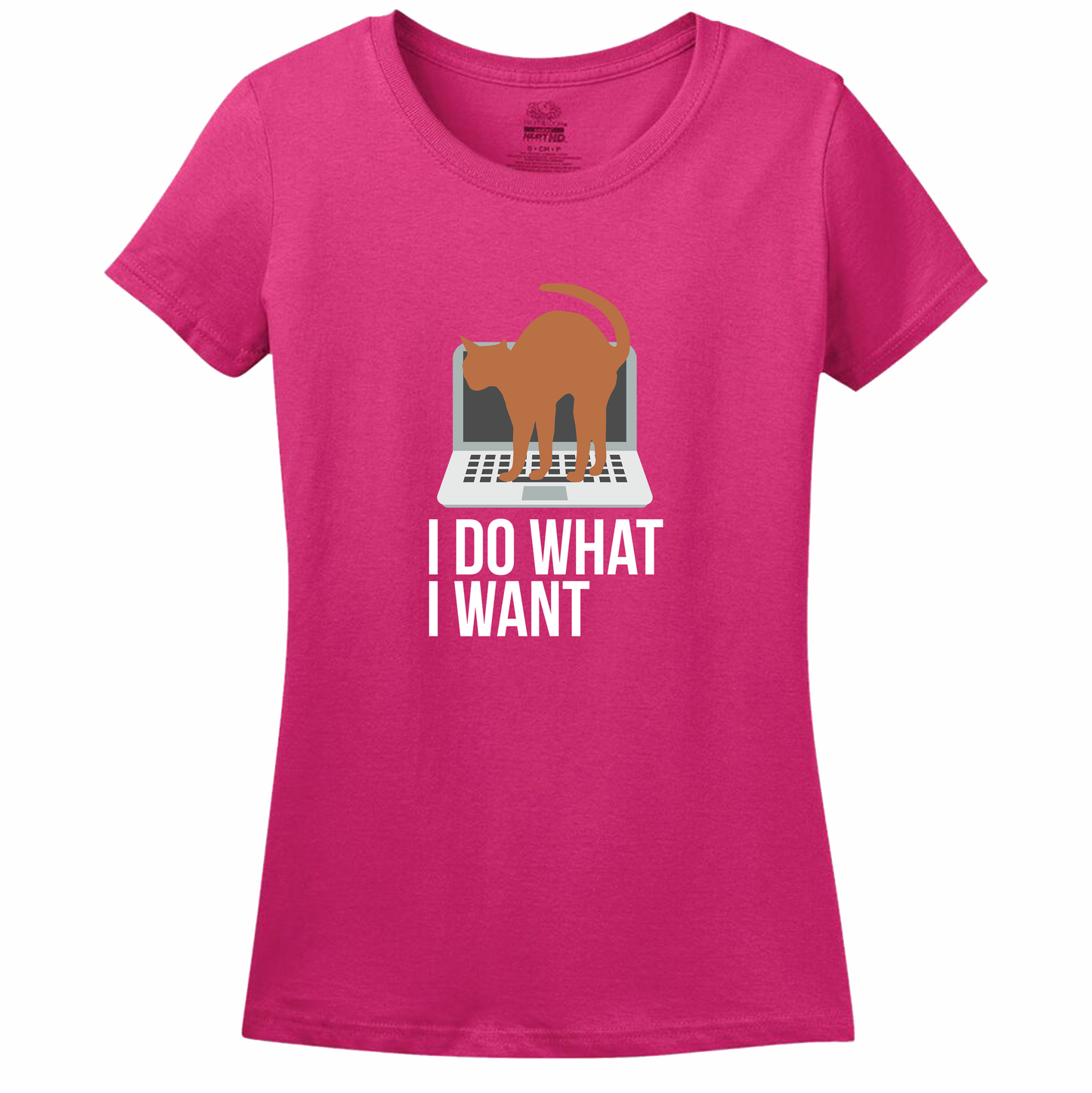 I Do What I Want Cat Women's Tee