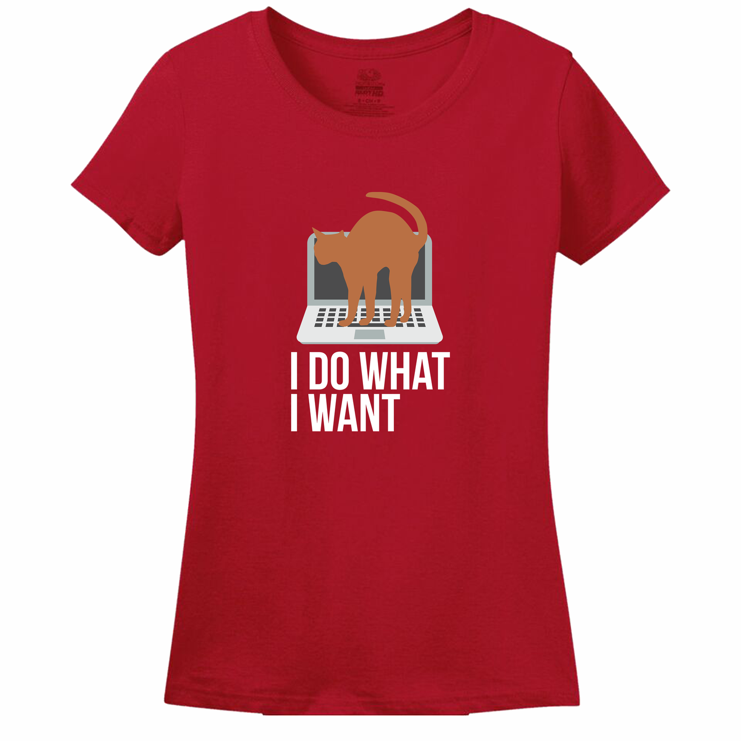 I Do What I Want Cat Women's Tee