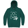  "Sweet Meowy Christmas kitty" hoodie, 3XL, Teal