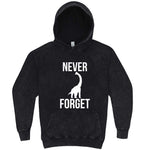  "Never Forget - Dinosaur" hoodie, 3XL, Vintage Black