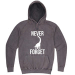  "Never Forget - Dinosaur" hoodie, 3XL, Vintage Zinc