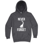  "Never Forget - Dinosaur" hoodie, 3XL, Storm