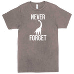  "Never Forget - Dinosaur" men's t-shirt Vintage Zinc