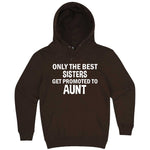  "Only the Best Sisters Get Promoted to Aunt, white text" hoodie, 3XL, Chestnut