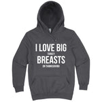  "I Love Big Turkey Breasts on Thanksgiving" hoodie, 3XL, Storm