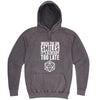  "When the DM Smiles It's Already Too Late" hoodie, 3XL, Vintage Zinc